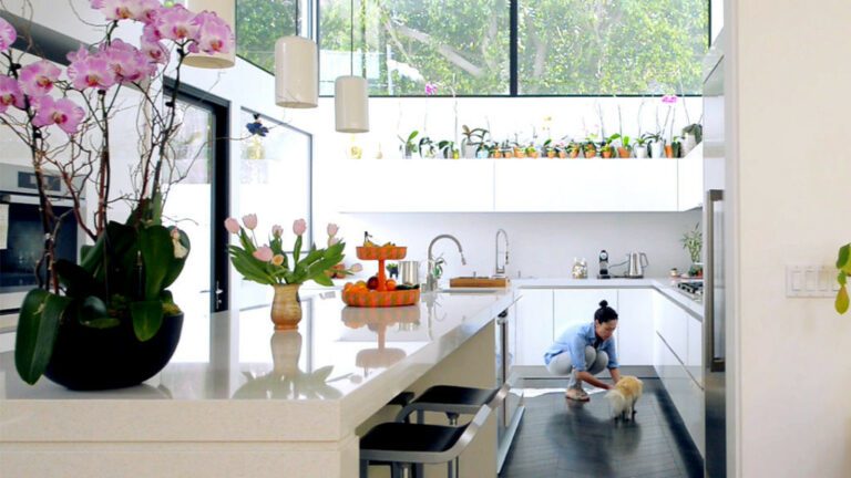 santa-monica-canyon-house-alloi-architecture-4