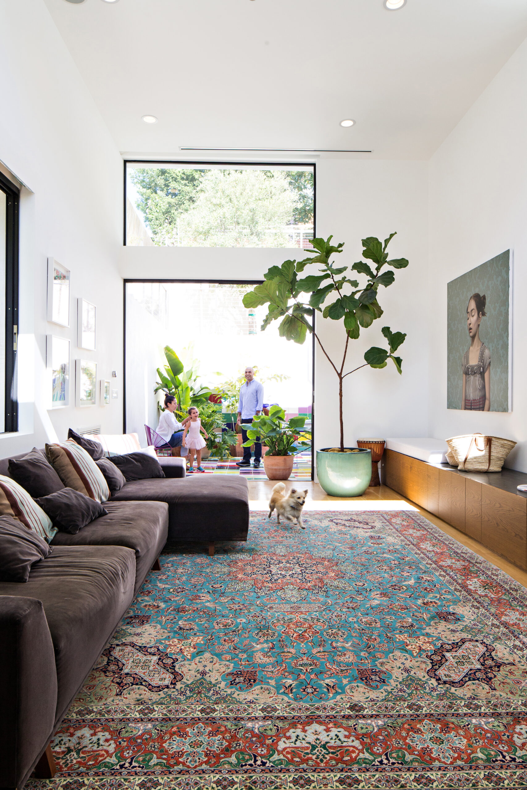 santa monica canyon house- alloi architecture-alloi construction modern homes warm interiors natural lighting
